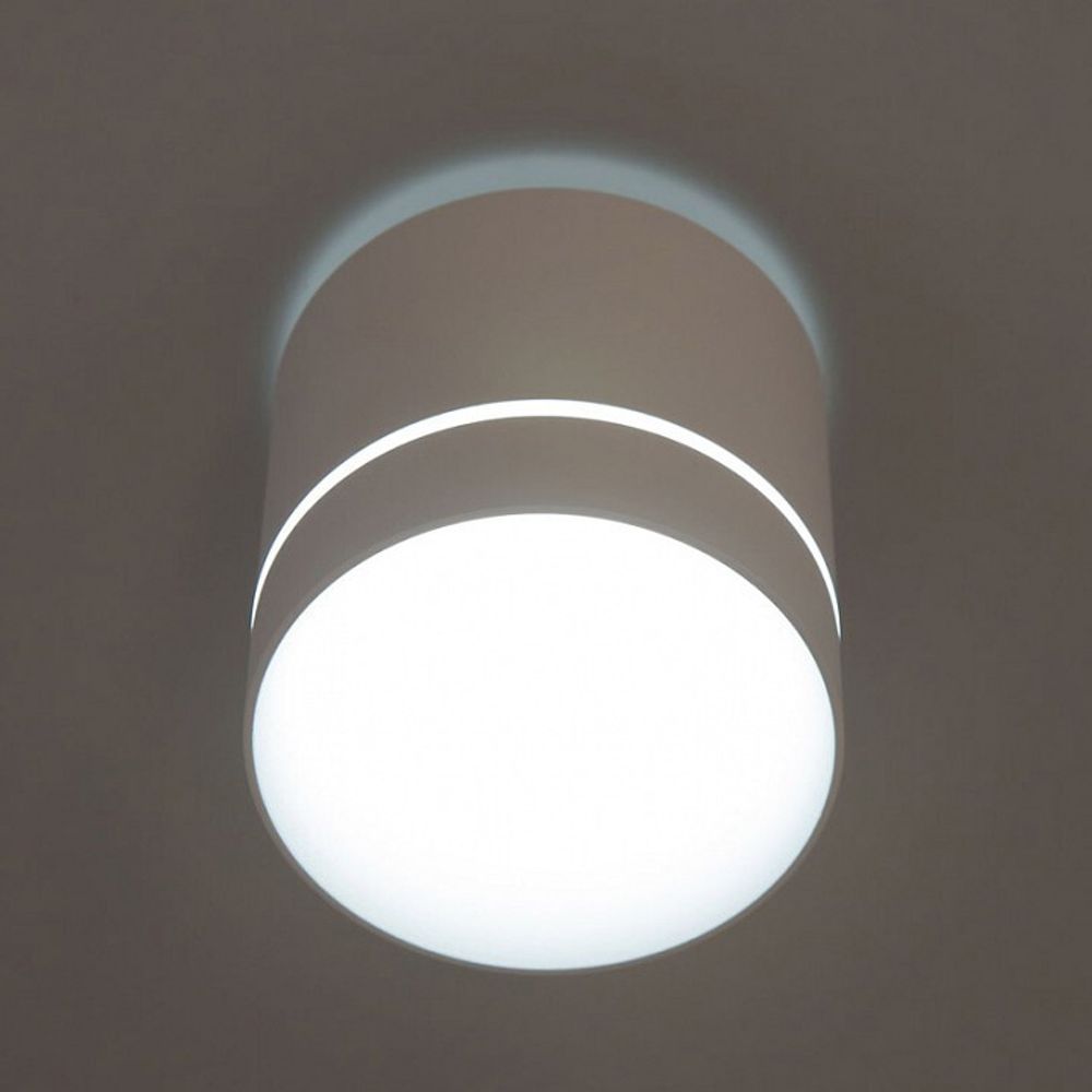 Накладной светильник Citilux Борн CL745020N