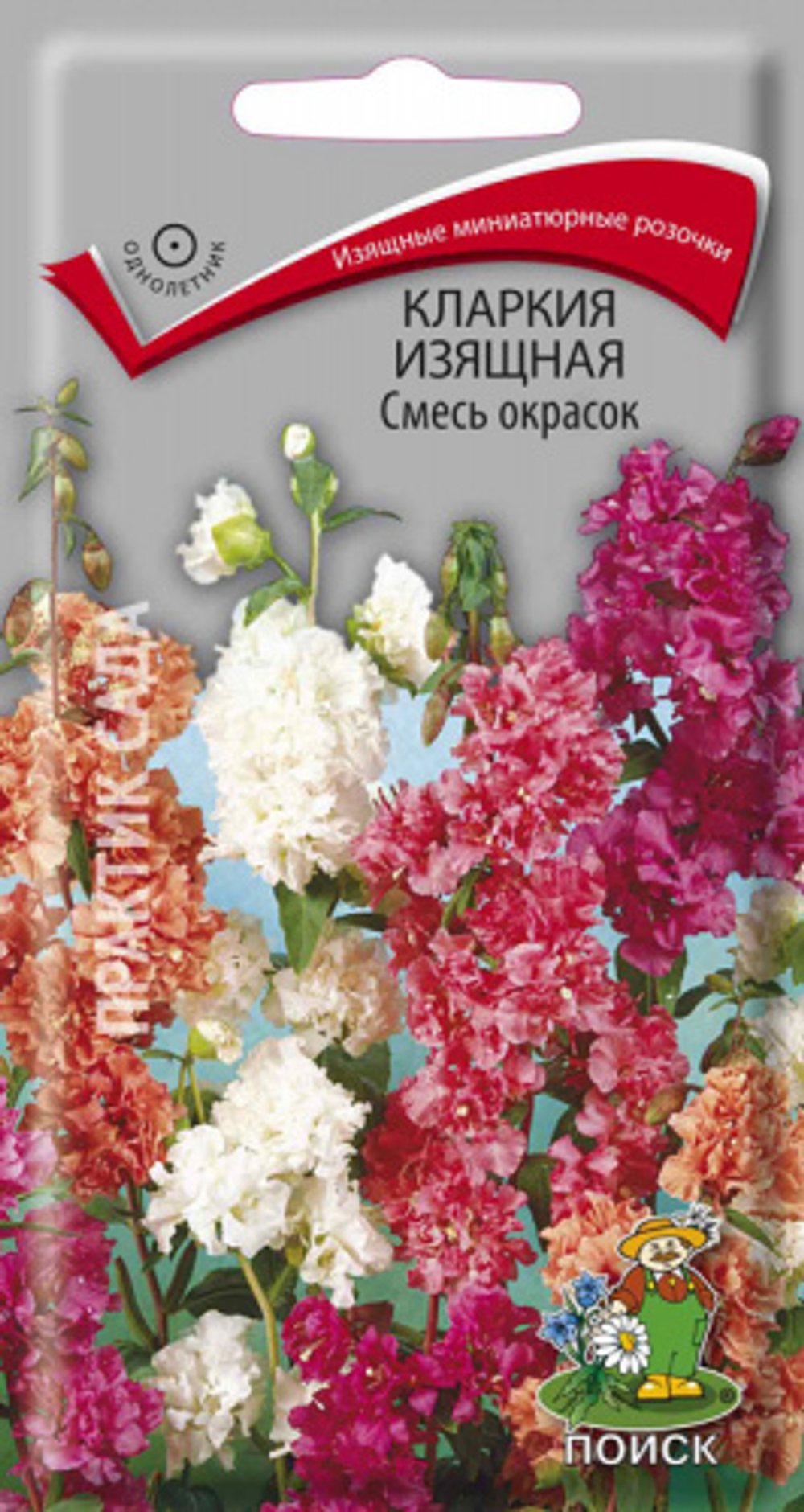 Кларкия изящная Смесь окрасок 0.2г
