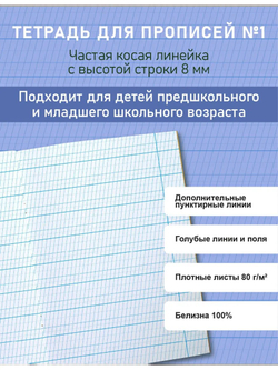 Набор тетрадей для прописей МИКС, 12 шт