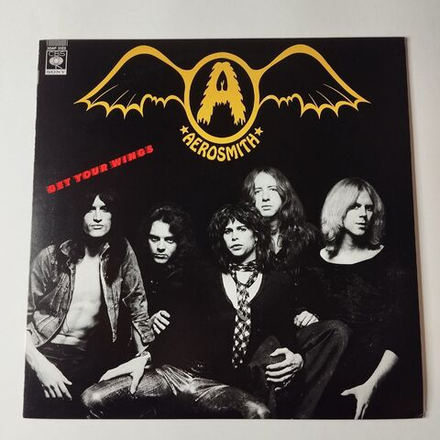 Винтажная виниловая пластинка LP Aerosmith Get Your Wings (Japan 1986) (No Obi) Seasons Of Wither