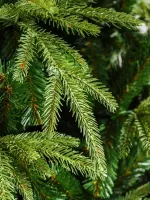 Ель искусственная «Форесто» (Литая+пвх) 120 см / 1.2 м