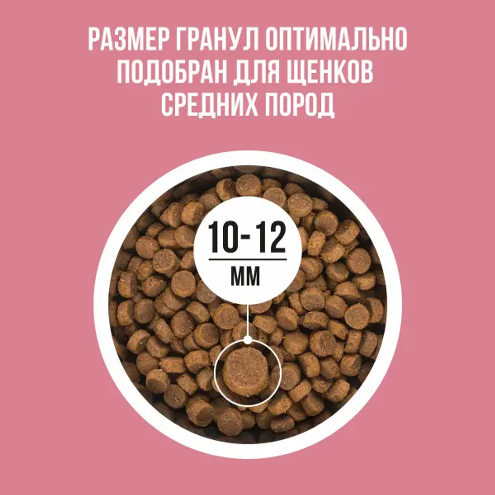 Bowl wow корм сухой для щенков средних пород с индейкой, рисом и ягнёнком с брусникой
