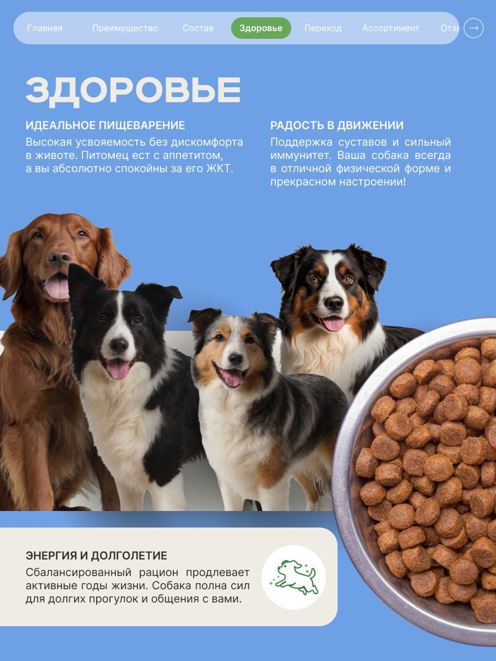 Корм сухой для взрослых собак породы Самоед, с ягненком, 12 кг, QUATTRO