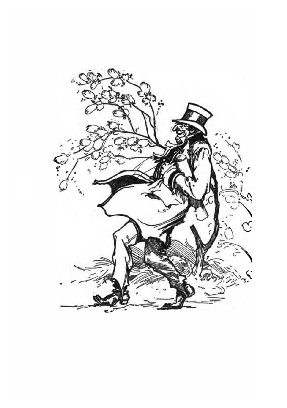 The scarecrow of Oz | L. Frank Baum