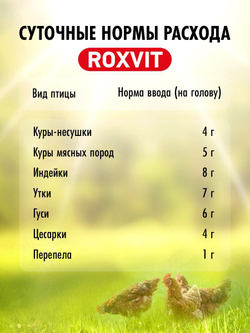 витамины для кур-несушек для повышения яйценоскости