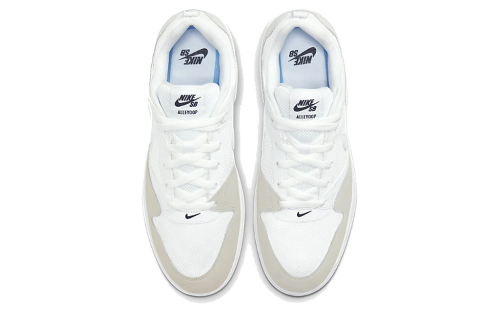 Кроссовки Nike Sb Alleyoop