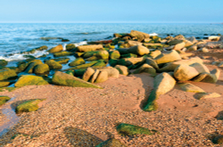 Коллекция Горы