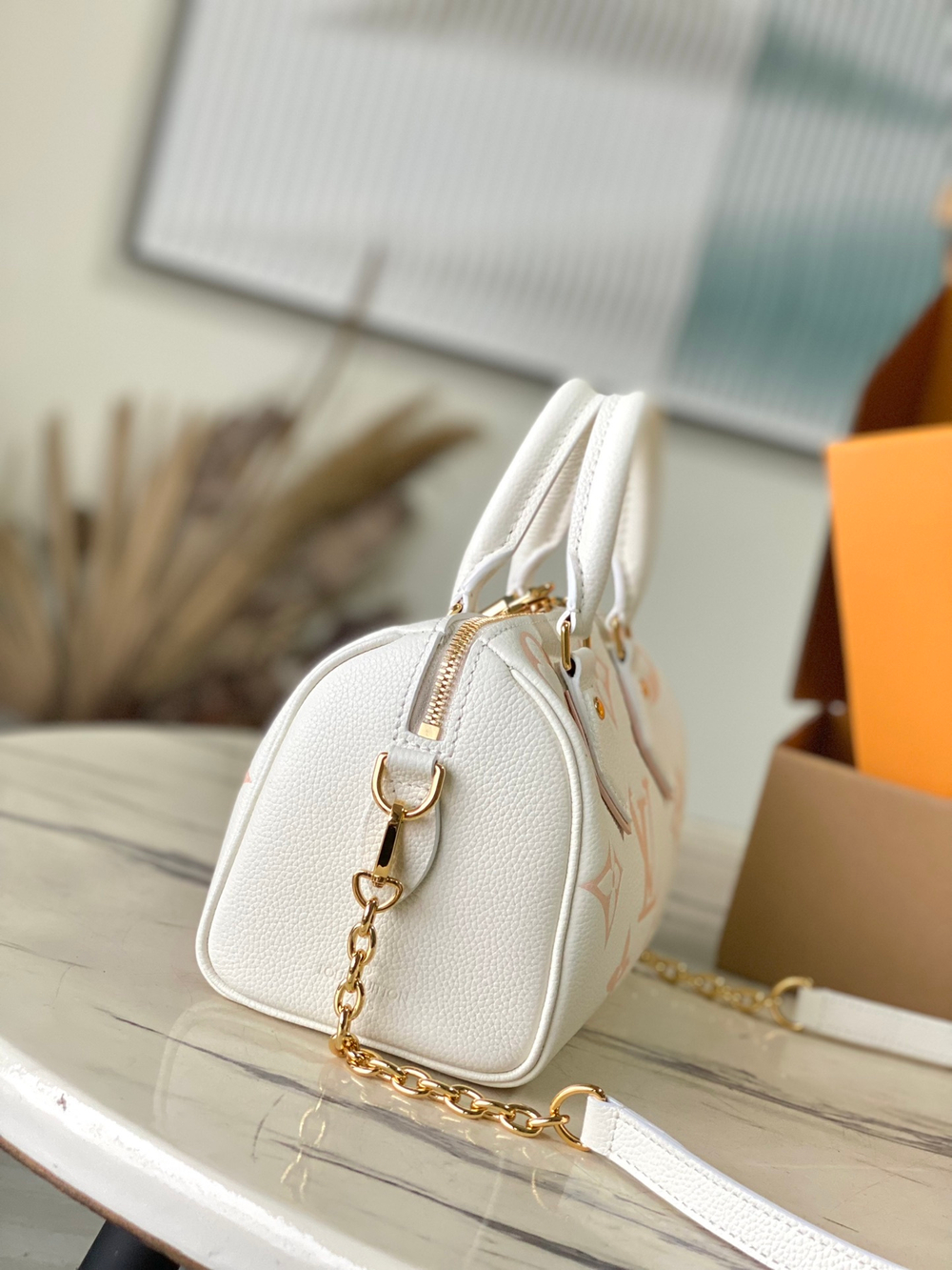 Louis Vuitton Speedy 20