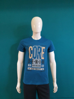 Футболка рисунок(норма) ФМ0012