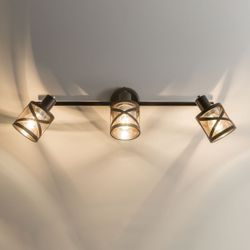 Citilux Гессен CL536635 Спот поворотный с выключателем Венге