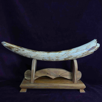 Бивень мамонта «Древний»