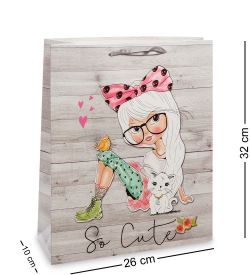 Z-20-2 Пакет средний