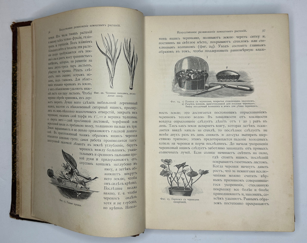 Гесдерфер М. Комнатное садоводство. СПб. Изд. Девриена, 1898г.