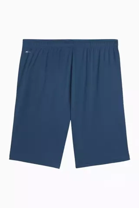 Шорты Puma teamLIGA Training 2