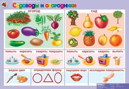 Окружающий мир 4-5 лет. "Я расту".