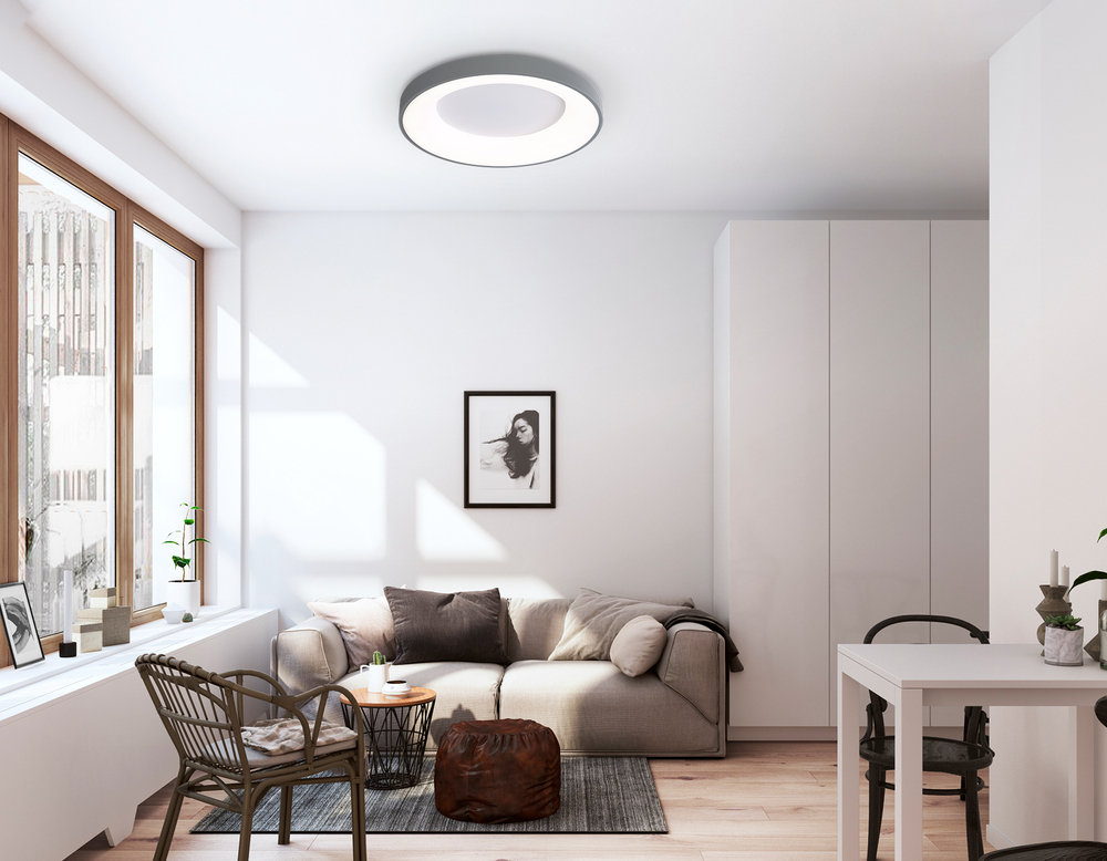 FZ1402 GR серый IP20 48W 3000K-6500K D500*50 (ПДУ ИК)