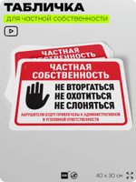 Табличка для частной территории "Частная собственность", на дом, для участка, организаций, предупреждающая, 40х30 см, Silver Plane x Айдентика Технолоджи