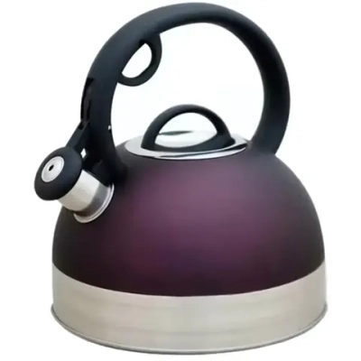 Чайник из нержавеющей стали 2,5л индукционное дно, пурпурный Катунь КТ-122