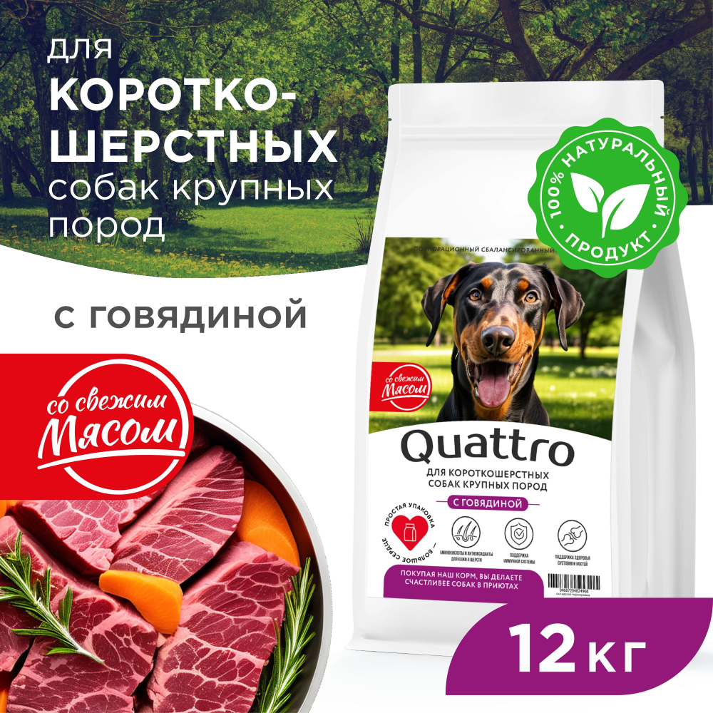 Корм сухой для взрослых собак крупных пород, премиум полнорационный комплекс, для короткошерстных собак, с говядиной, 12 кг, QUATTRO