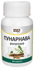 Капсулы Ayur Plus Пунарнава, 60 капсул