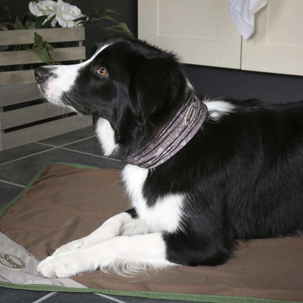 Повязка на шею для собак с пропиткой от насекомых "Insect Shield Dog Snood" SCRUFFS