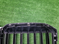 Решетка радиатора BMW X7 G07 (2019-2022)