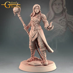 Elven Sorcerer
