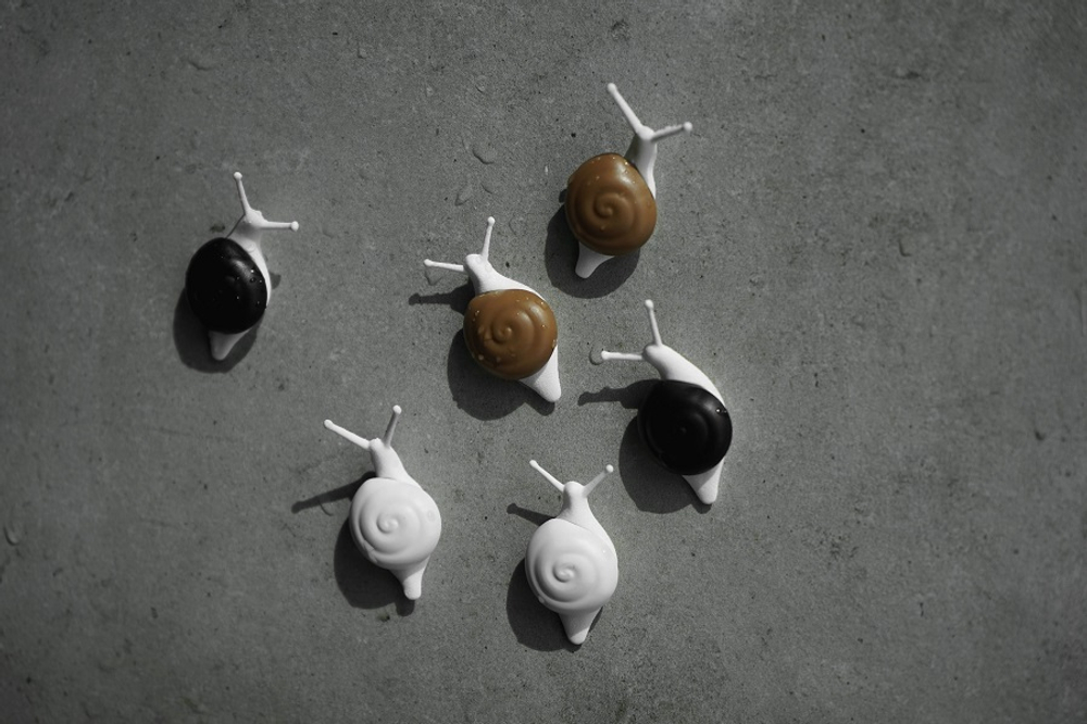 Набор магнитов snail, 6 шт.