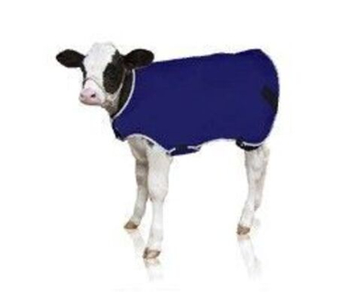 Попона для телят утепленная, цвет синий
