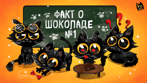 🐾Рубрика интересные факты о шоколаде🐾Факт №1 - Шоколад - топливо для мозга. 🙀