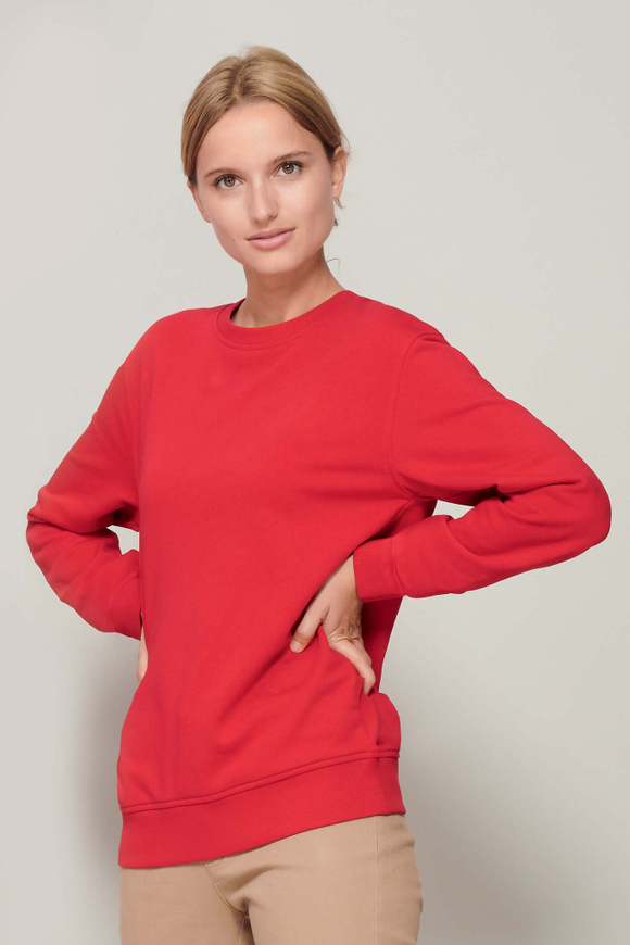 Свитшот COMET