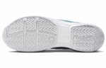 Кроссовки Nike Court Zoom Vapor 9.5 Tour Premium