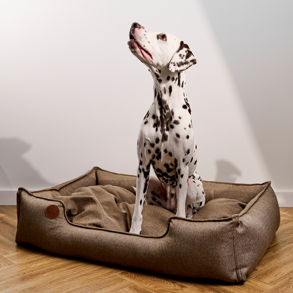 Лежанка из рогожки, коричневый Rachel WOW