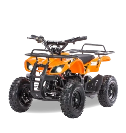 Электроквадроцикл MOTAX Mini Grizlik X-16 1000W New