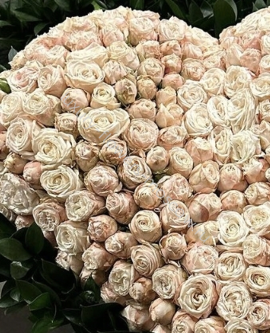 Пионовидные кустовые в форме сердца