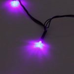 Гирлянда для дома 1,5м 12 ламп LED зелёный пров.,8 реж, IP-20, Фиолетовый