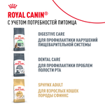 Royal Canin Sphynx Kitten Киттен Сфинкс Корм сухой для котят породы Сфинкс в возрасте от 4 до 12 месяцев 400г