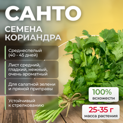 САНТО семена кориандра (Sakata | Alexagro)