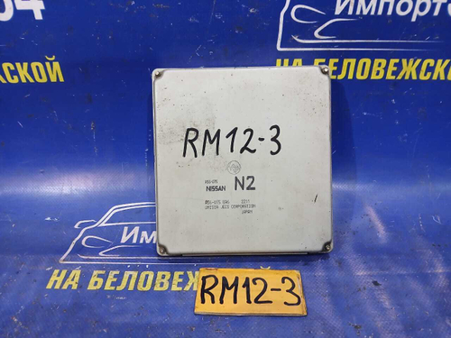 Компьютер двигателя NISSAN LIBERTY 2002