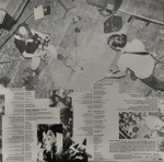 Nirvana / In Utero (LP)