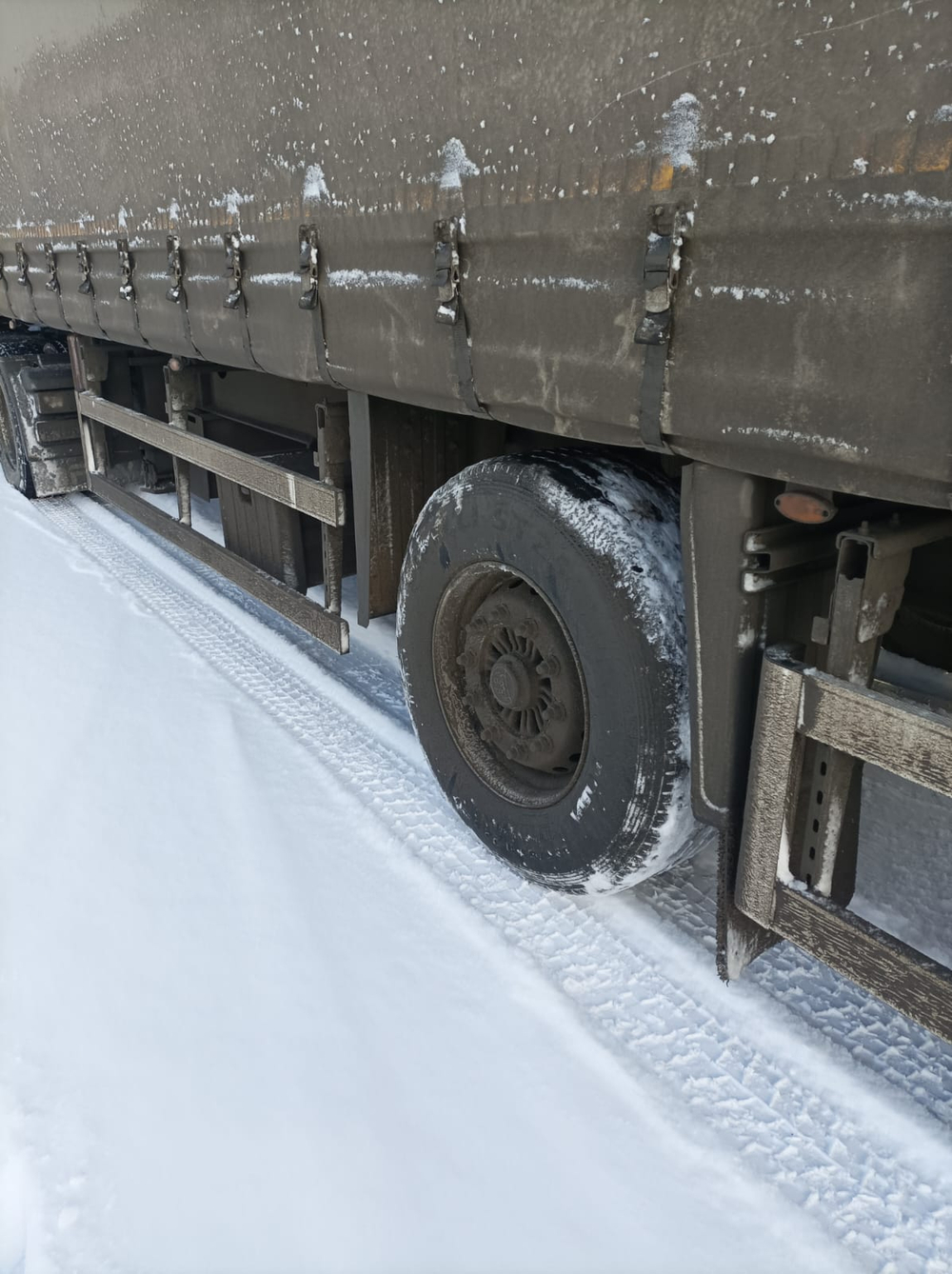 HASTRAILER HASLINER Полуприцеп шторный 3 оси 06