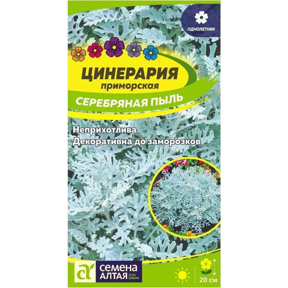 Цветы Цинерария Серебряная Пыль/Сем Алт/цп 0,1 гр. - купить в Дмитрове,  Москве и Московской области по низкой цене