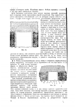 Давление горных пород и рудничное крепление | Протодьяконов Михаил Михайлович