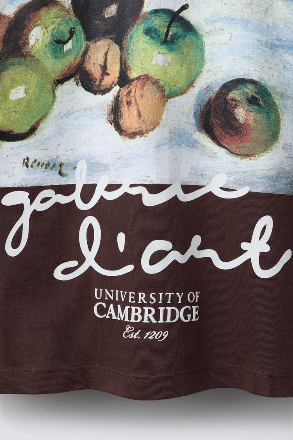 ZARA ФУТБОЛКА С ПРИНТОМ, КОРИЧНЕВЫЙ