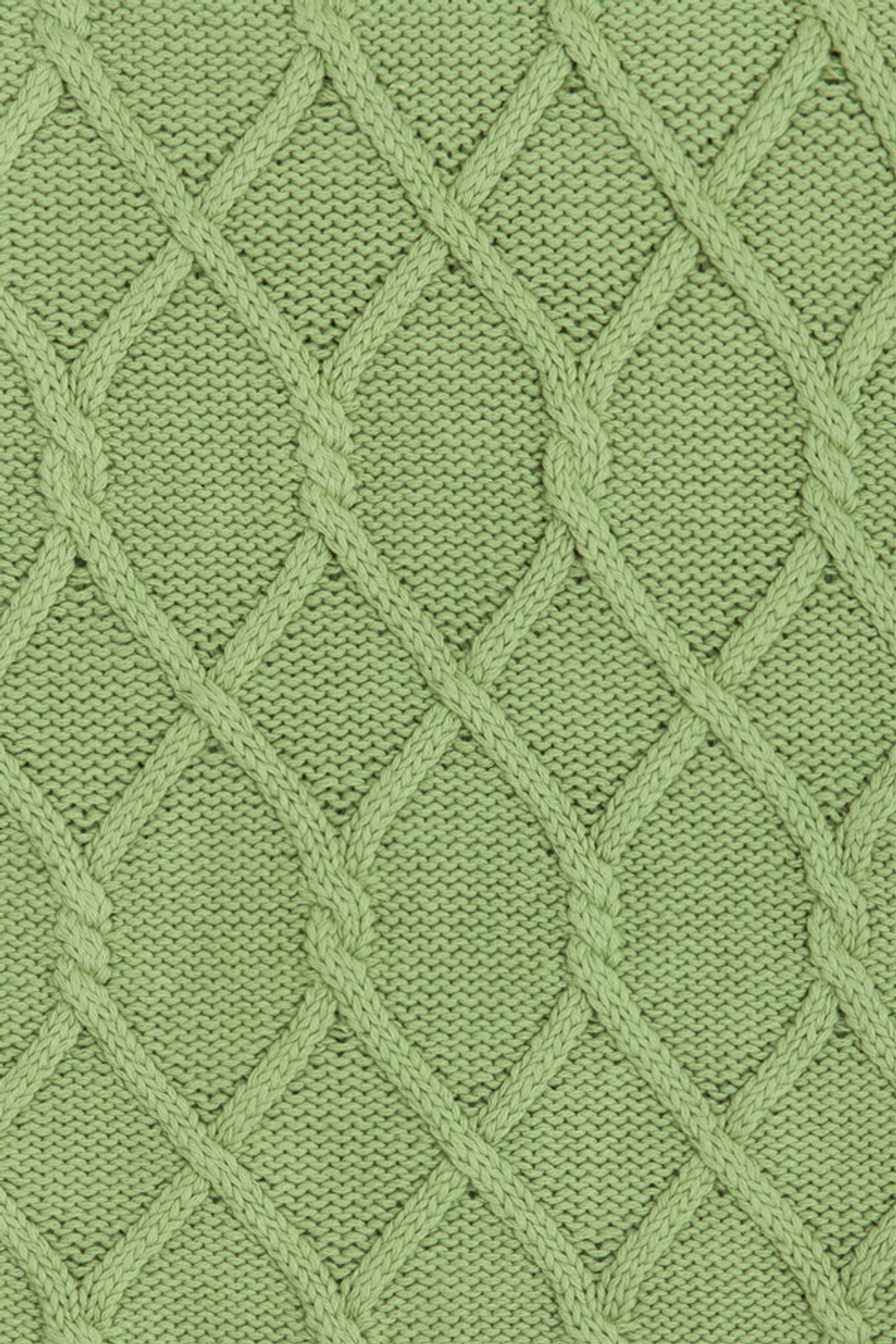 Наволочка 40x40 Luxberry Lux 48 травяной