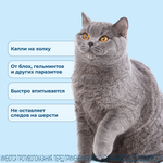 Селафорт капли для кошек для наружнего применения противопаразитпрный