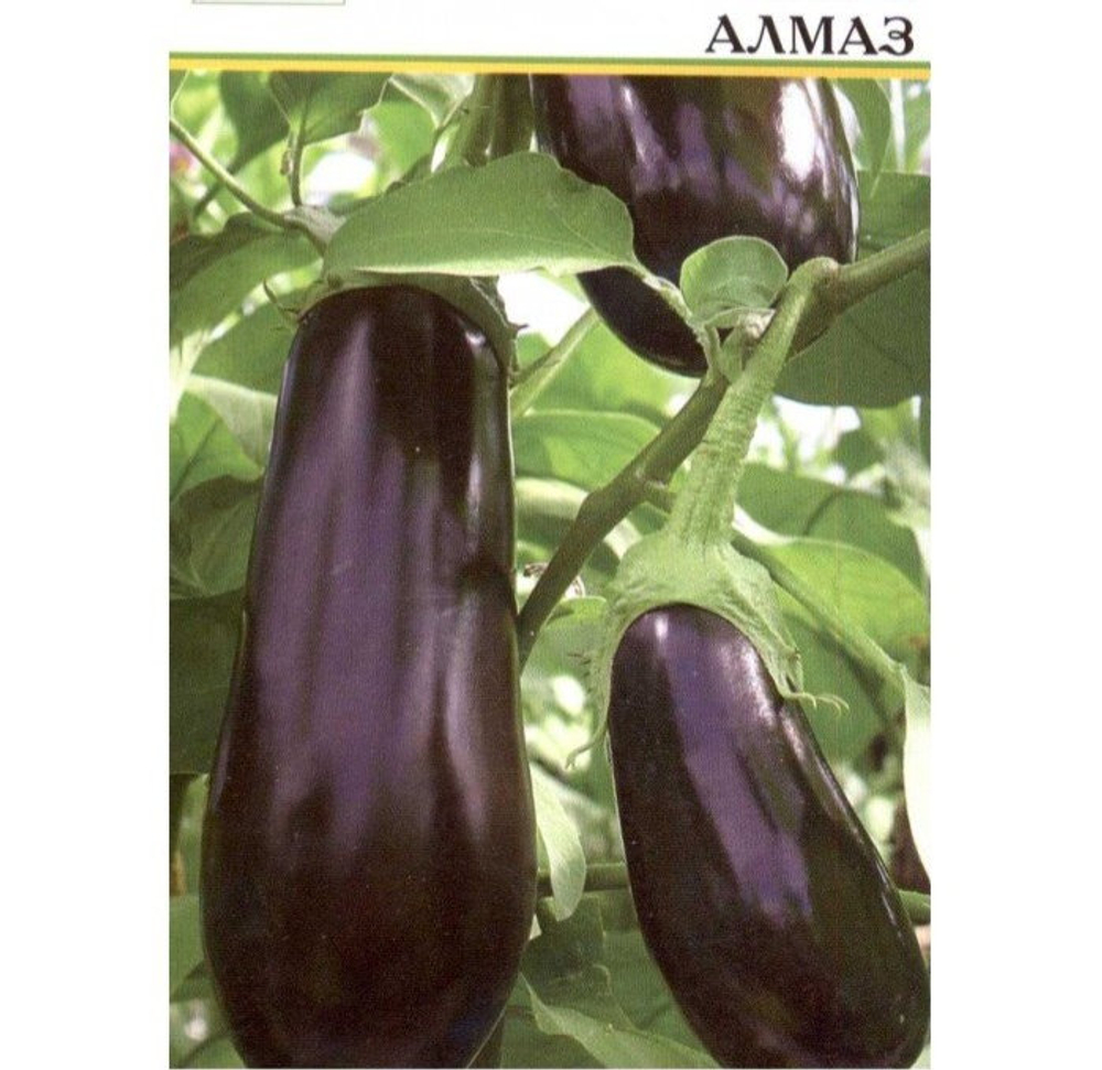 Баклажан Алмаз