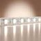 Светодиодная лента Maytoni Led Strip 201194