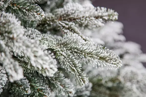 Ель Стильная заснеженная 260 см., литая хвоя+пвх, Black Box (74122)