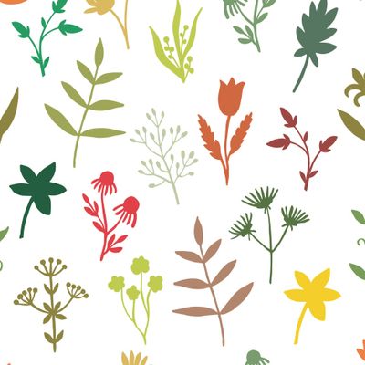 Бесшовный паттерн силуэтов диких трав. Ботанические элементы.